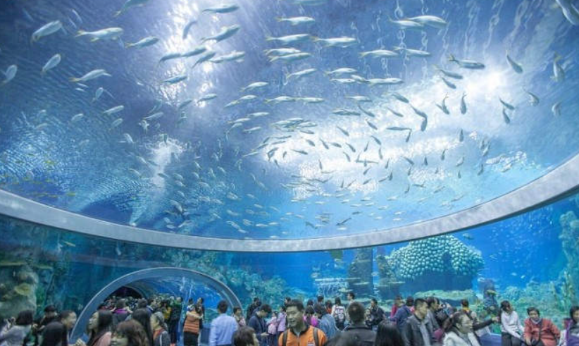 Oceanogràfic