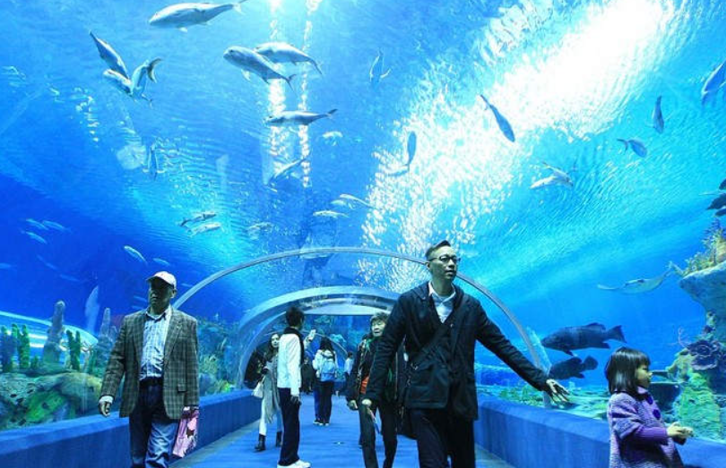 Oceanogràfic