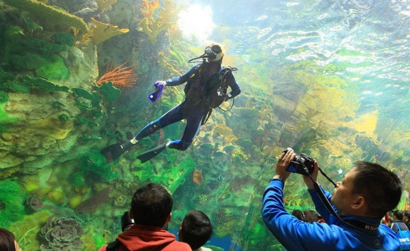 Oceanogràfic