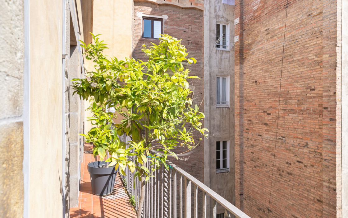 Історична квартира з терасою в Готичному кварталі Барселони