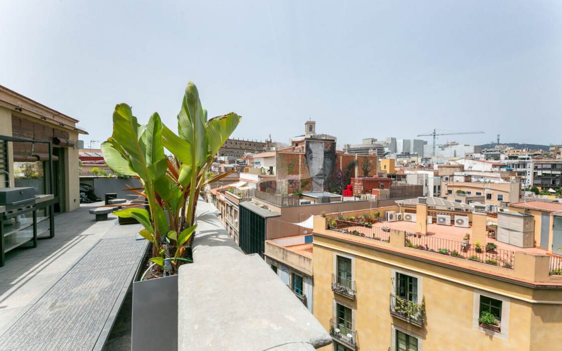 Пентхаус с террасой в центре Барселоны, 52 кв.м, вид