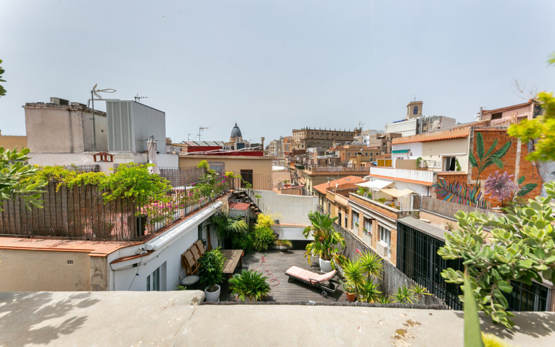 Пентхаус с террасой в центре Барселоны, 52 кв.м, вид