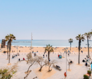 Квартира у моря с балконом в Барселонете, 70 кв.м, терраса