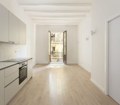 Реновированная квартира с балкон в Побле Сек, Барселона 54 кв.м.