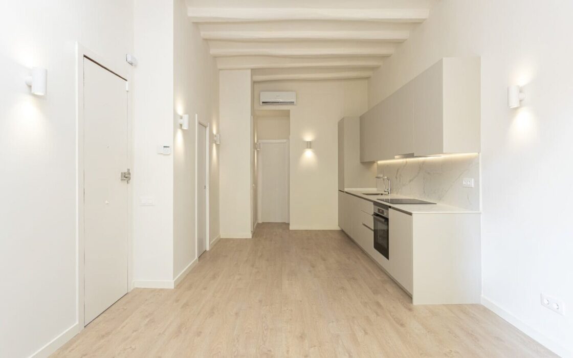 Реновированная квартира с балкон в Побле Сек, Барселона 54 кв.м.