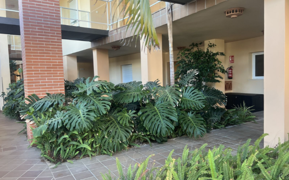 Роскошный дом с террасой в Malibu Mansions, 106 кв.м.