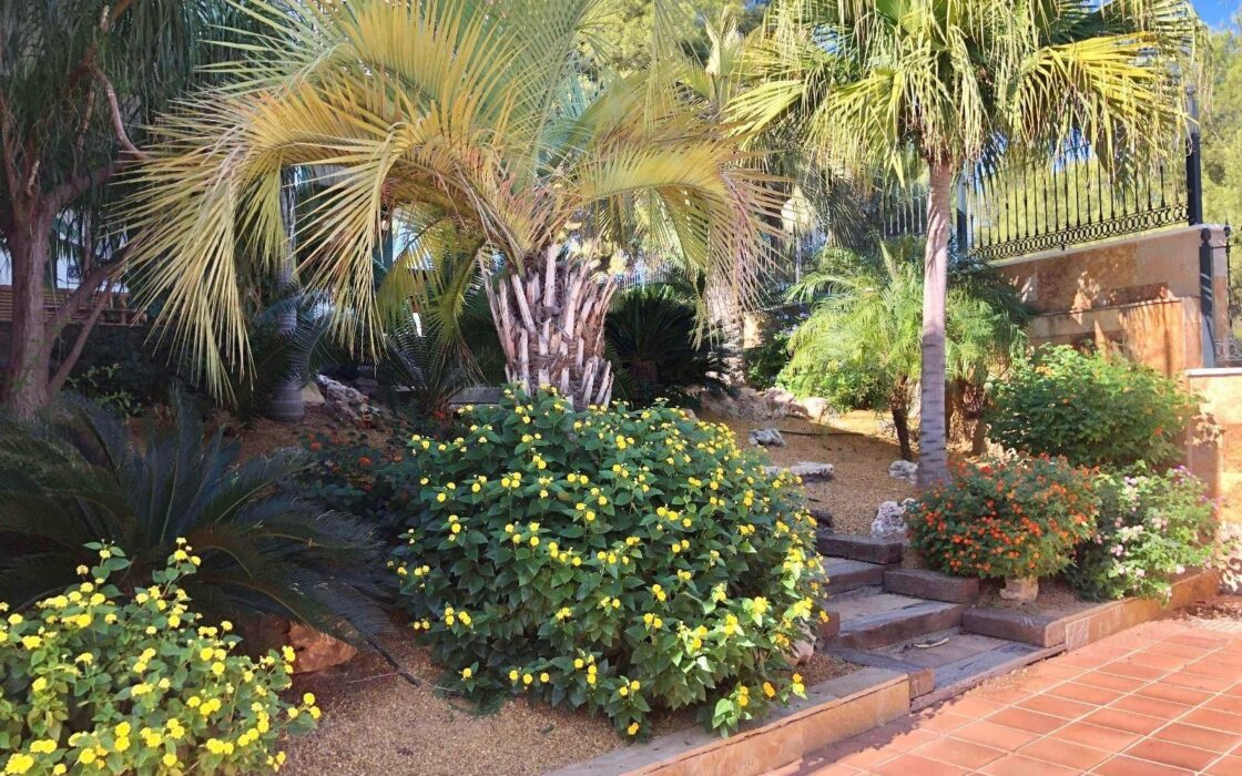 Вілла в El Palmar 1150 кв.м з басейном та терасою