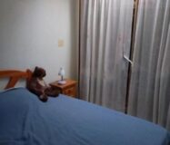 Бунгало в Торревьехе 3 комнаты с террасой в 143000€