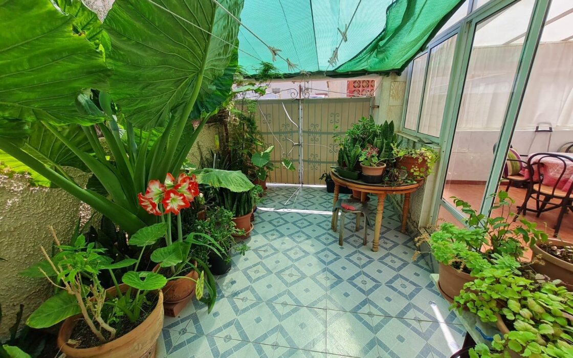 Бунгало 36 кв.м в Торревьехе с террасой у моря