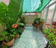 Бунгало 36 кв.м в Торревьехе с террасой у моря