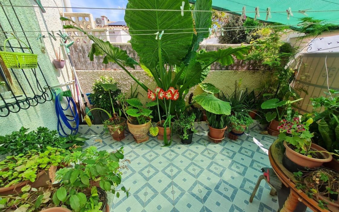 Бунгало 36 кв.м в Торревьехе с террасой у моря