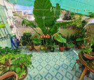 Бунгало 36 кв.м в Торревьехе с террасой у моря