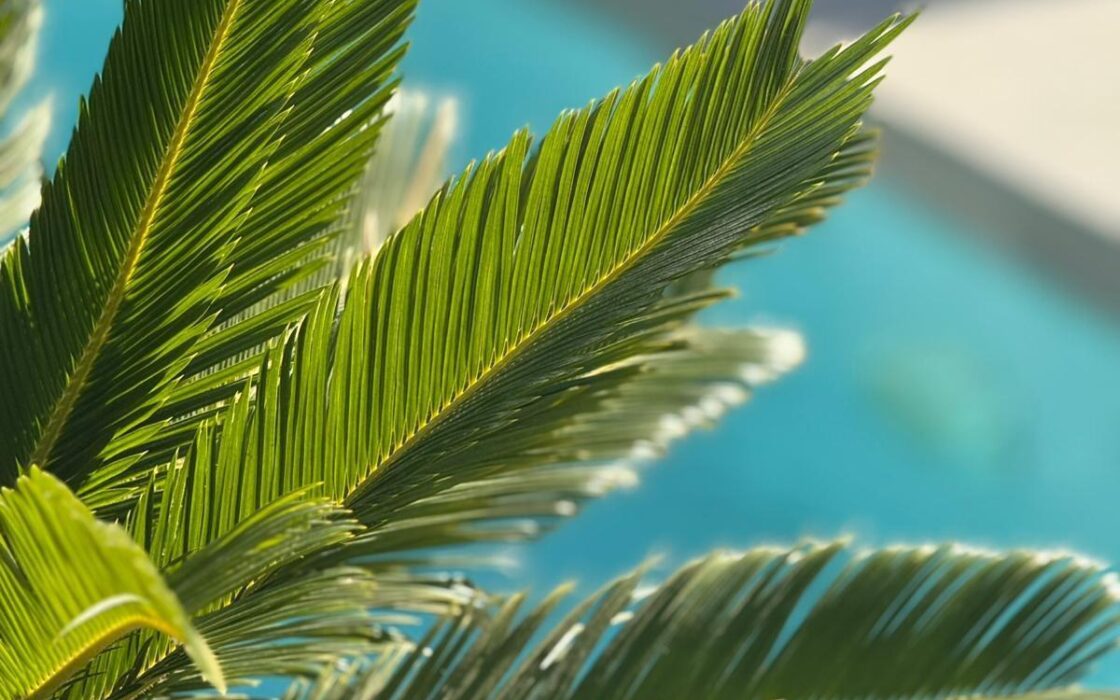 Вилла в Ориуэла Коста 152 кв.м с террасой в 4 км от моря