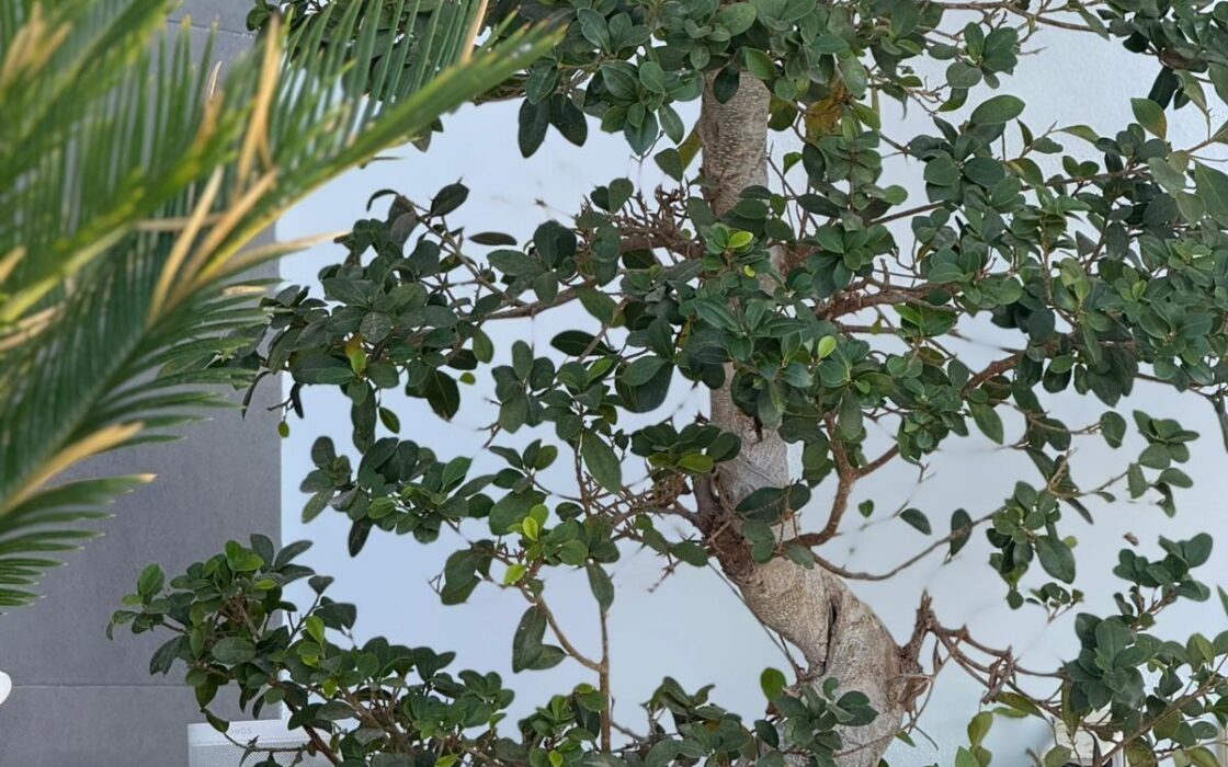 Вилла в Ориуэла Коста 152 кв.м с террасой в 4 км от моря