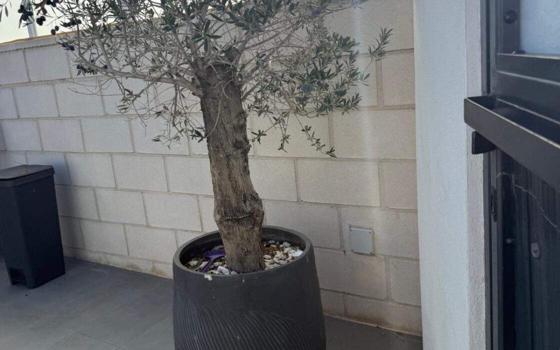 Вилла в Ориуэла Коста 152 кв.м с террасой в 4 км от моря