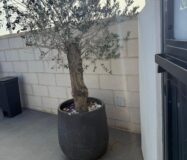 Вилла в Ориуэла Коста 152 кв.м с террасой в 4 км от моря