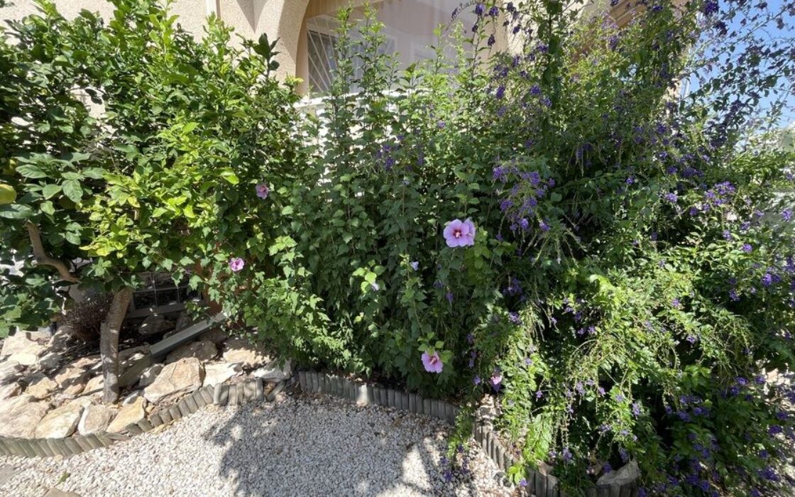 Вилла в Альгорфе 163 кв.м с 4 спальнями и бассейном