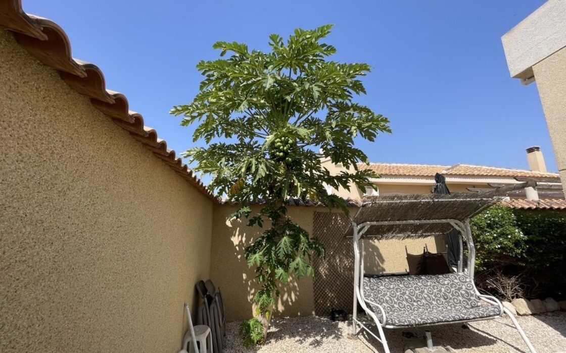 Вилла в Альгорфе 163 кв.м с 4 спальнями и бассейном