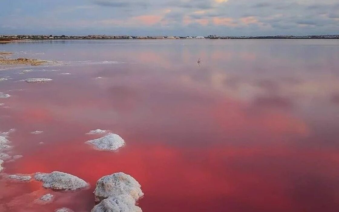 Нові бунгало з терасою в Лос Балконес Торрев’єха 75 кв.м
