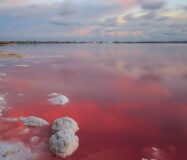 Нові бунгало з терасою в Лос Балконес Торрев’єха 75 кв.м