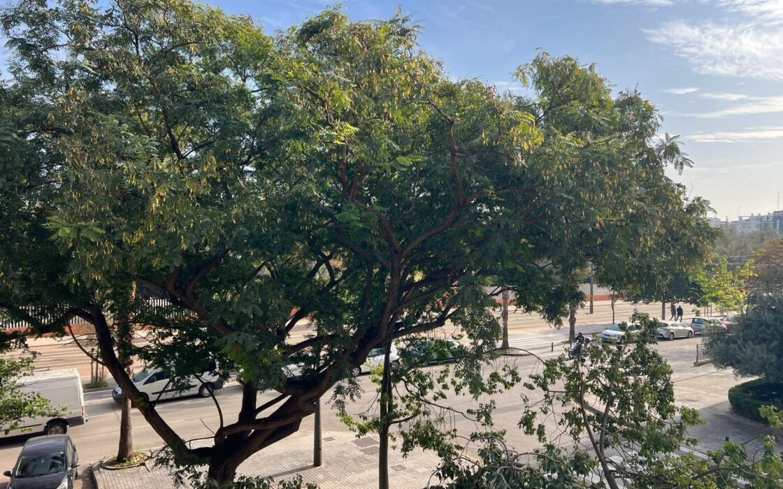 Апартаменти у Валенсії 81 кв.м з балконом в Marxalenes