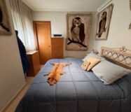 Апартаменты 70 кв.м в Торревьехе 350 м до моря