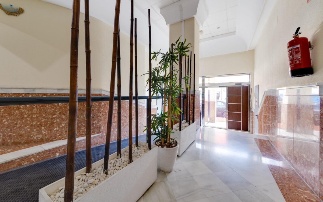 Апартаменты 3 комнаты в Торревьехе 850 м до моря с террасой