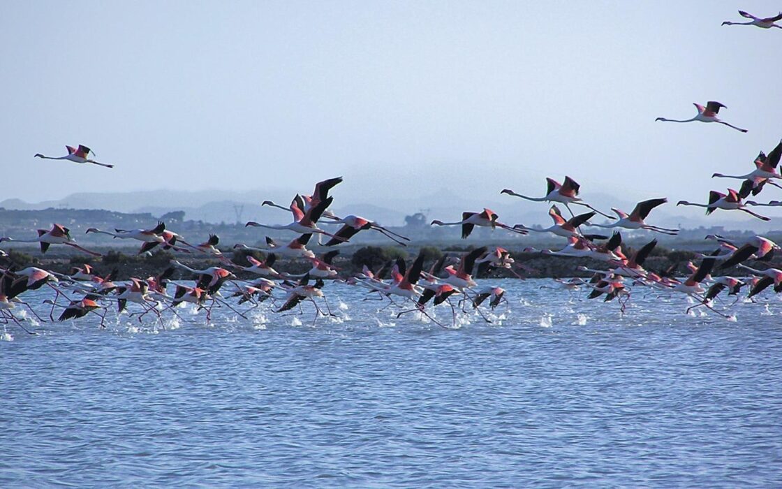 Квартира 3 кімнати 97 кв.м з терасою в Гран Алаканте біля моря