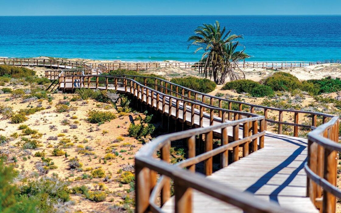 Апартаменты 2-3 спальни в Allure Alenda Golf 95 кв.м у моря