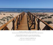 Апартаменты в Торревьехе у моря 45.57 кв.м с 2 комнатами