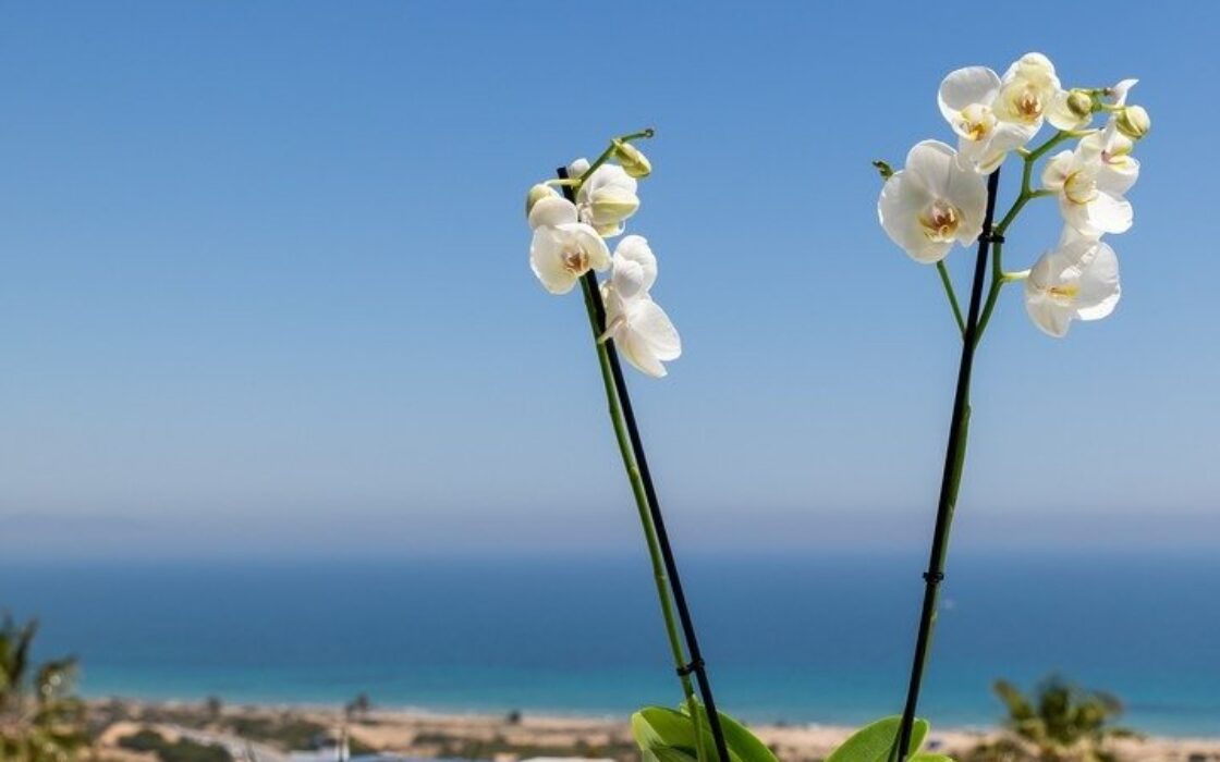 Нові квартири біля моря в Гран-Алаканте, 2-3 кімнати, 96 кв.м.