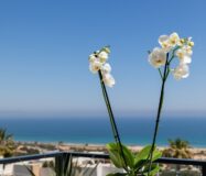 Нові квартири біля моря в Гран-Алаканте, 2-3 кімнати, 96 кв.м.