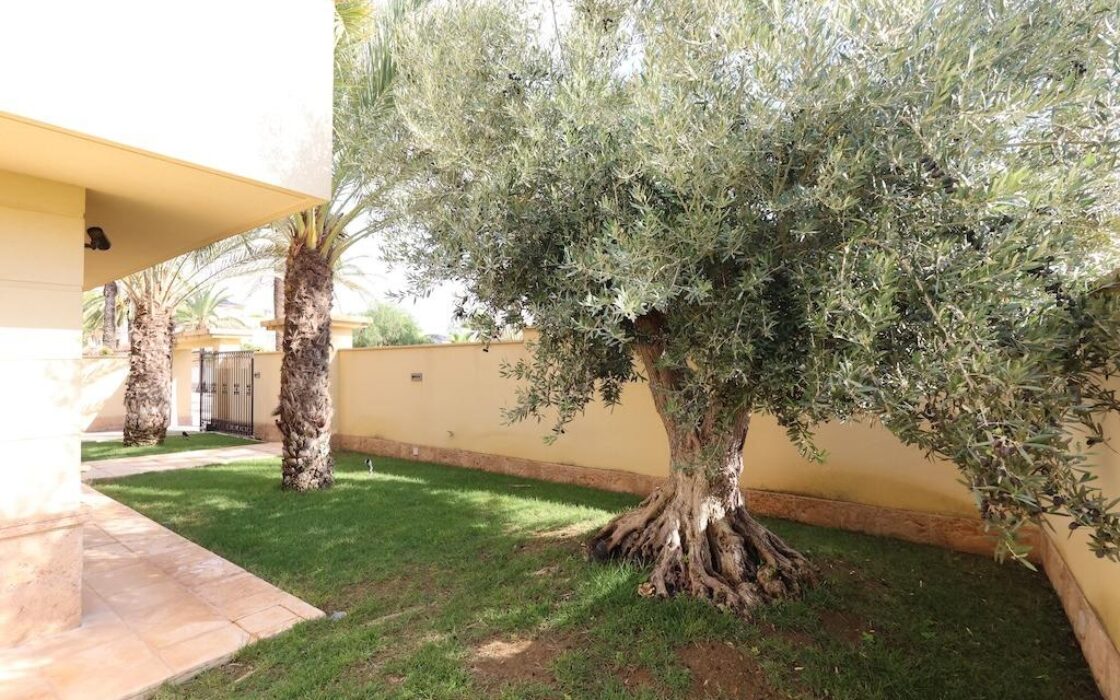 Дом в Кабо Роиг с террасой и частным бассейном 222 кв.м