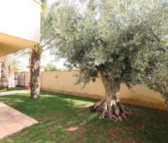 Дом в Кабо Роиг с террасой и частным бассейном 222 кв.м