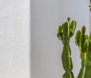 Вілла в Лос-Алькасарес, 4 кімнати, 1 км до моря