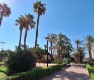 Апартаменти в Торрев’єсі 100 кв.м з видом на море