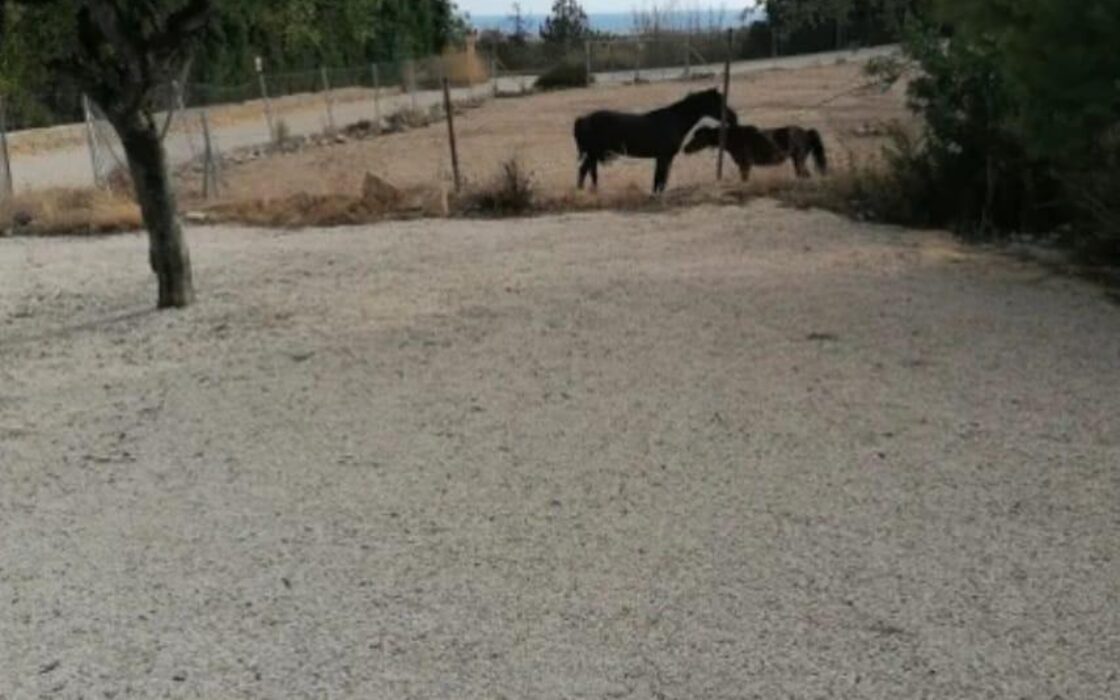 Приватний будинок з терасою у Вільяхойосі, 4 спальні, 241 кв.м