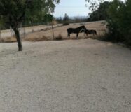 Приватний будинок з терасою у Вільяхойосі, 4 спальні, 241 кв.м