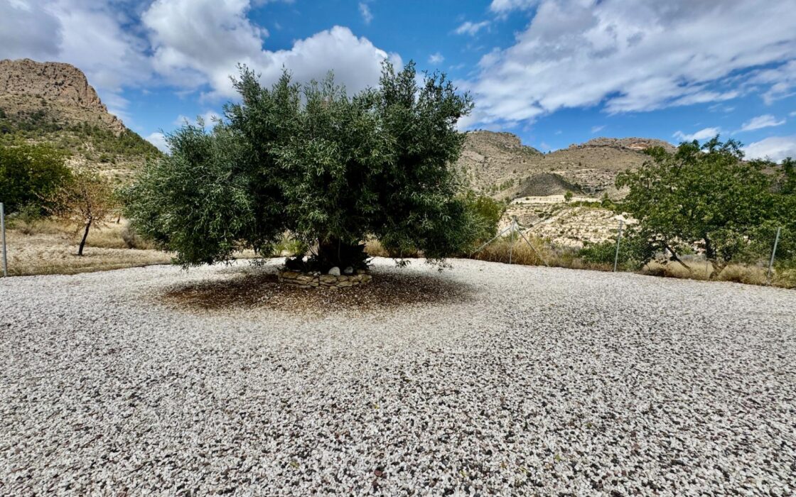 Уютный загородный дом в Рельеу с террасой и бассейном 135 кв.м