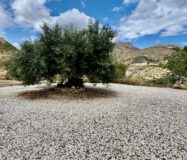 Уютный загородный дом в Рельеу с террасой и бассейном 135 кв.м