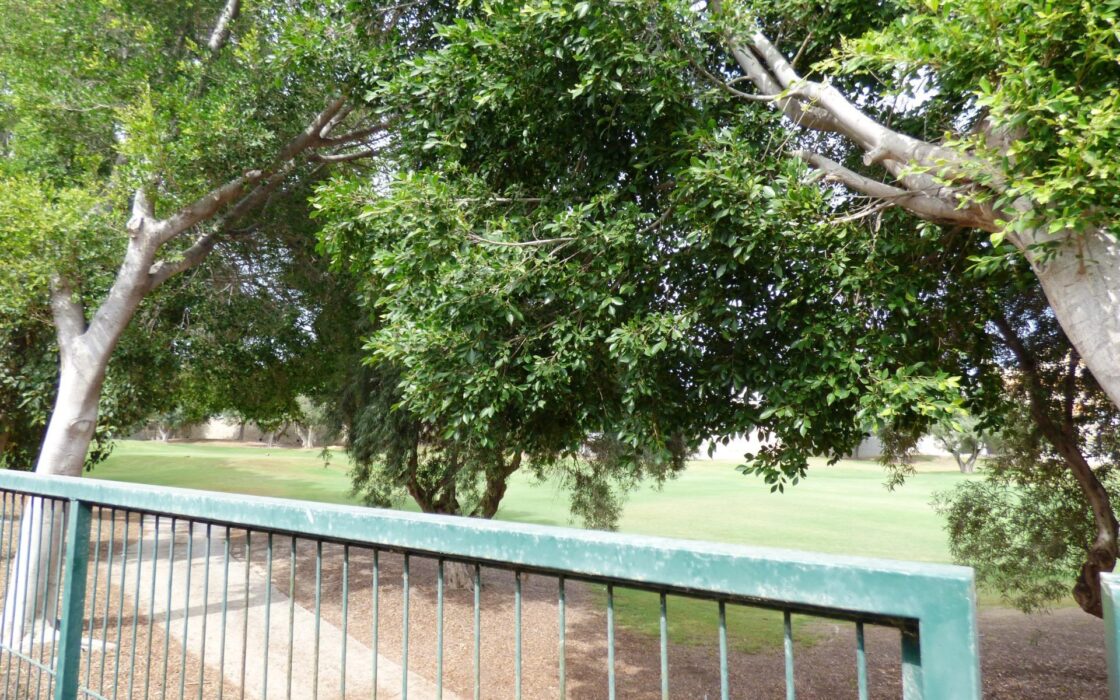 Дом в Аликанте 288 кв.м с террасой рядом с морем