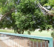 Дом в Аликанте 288 кв.м с террасой рядом с морем