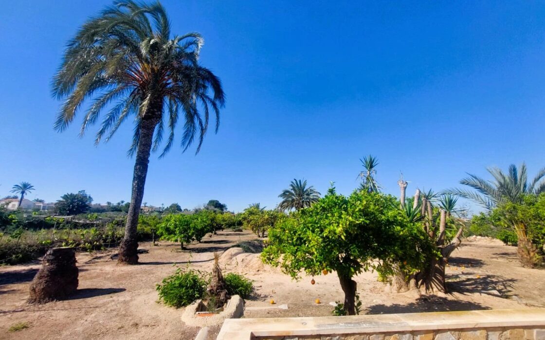 Масия в Ла Марина 315 кв.м, 6 комнат, 400 м до моря