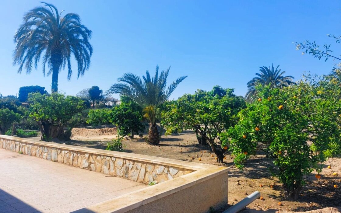 Масия в Ла Марина 315 кв.м, 6 комнат, 400 м до моря