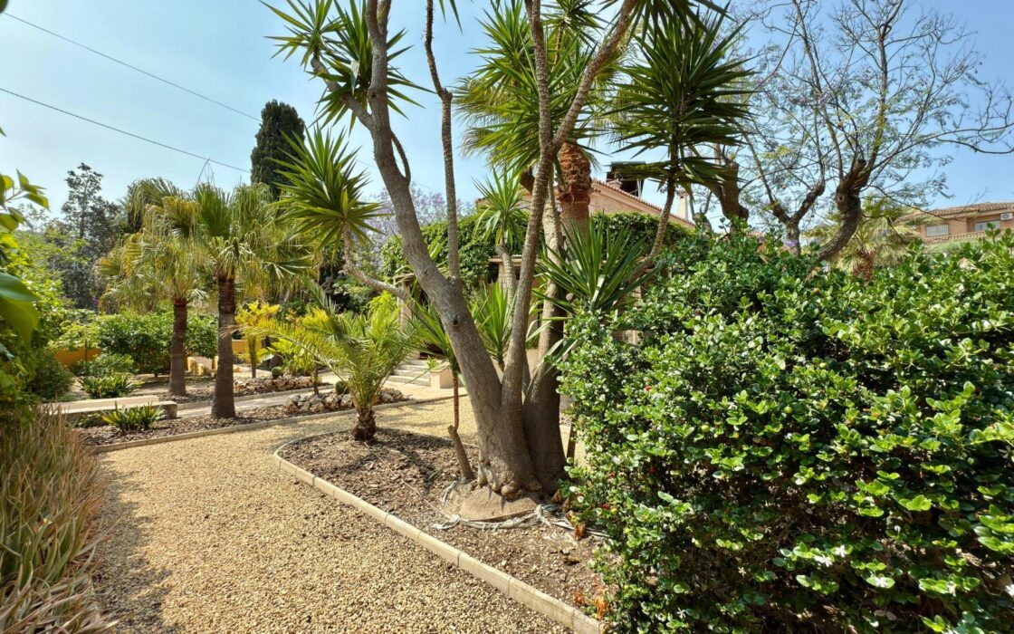 Вилла в Аликанте 500 кв.м с бассейном и террасой