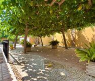 Вилла в Аликанте 500 кв.м с бассейном и террасой