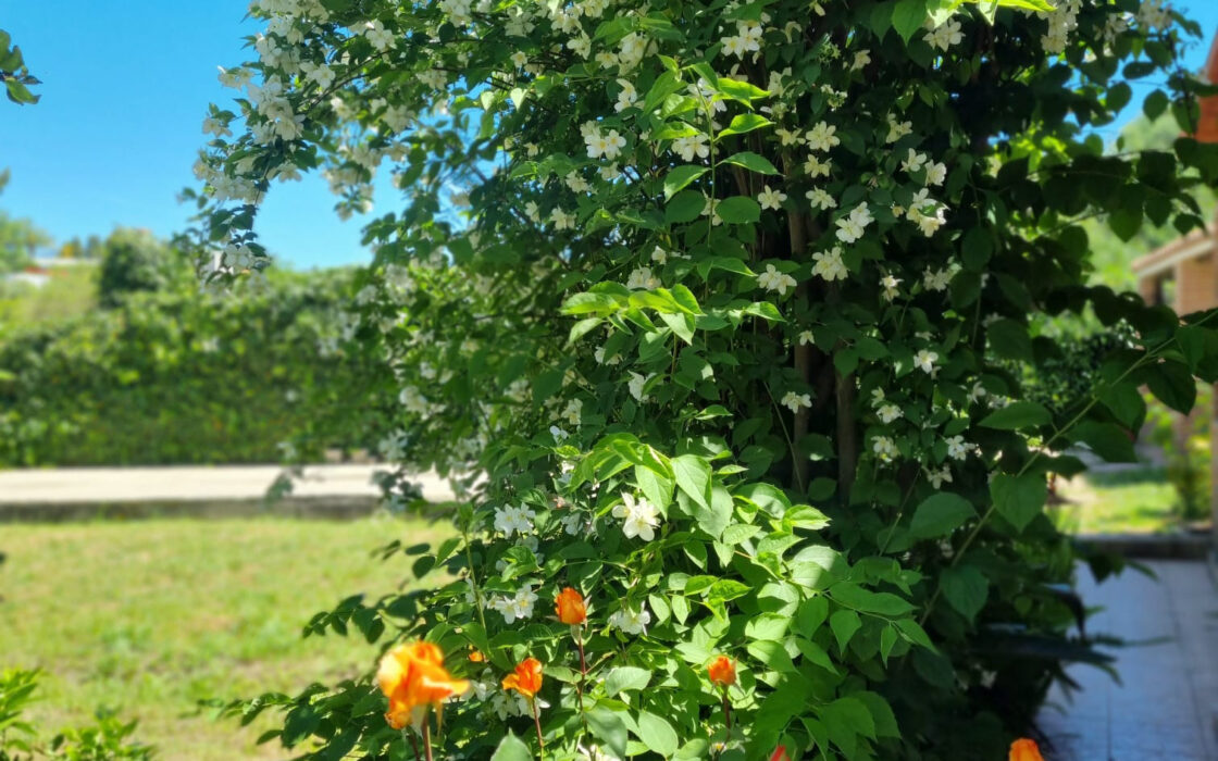 Дом с садом и бассейном недалеко от города, 102 кв.м.