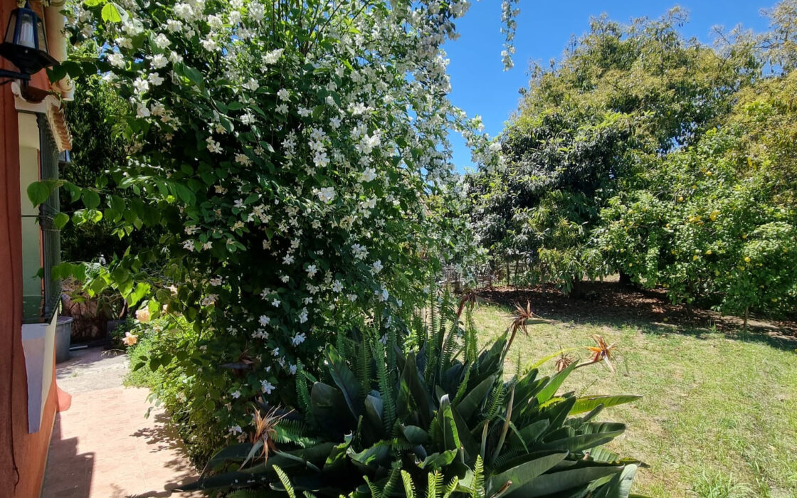 Дом с садом и бассейном недалеко от города, 102 кв.м.
