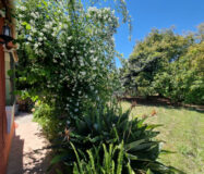 Дом с садом и бассейном недалеко от города, 102 кв.м.