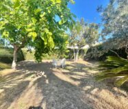 Вилла в Торревьехе 180 кв.м с террасой 1.5 км от моря